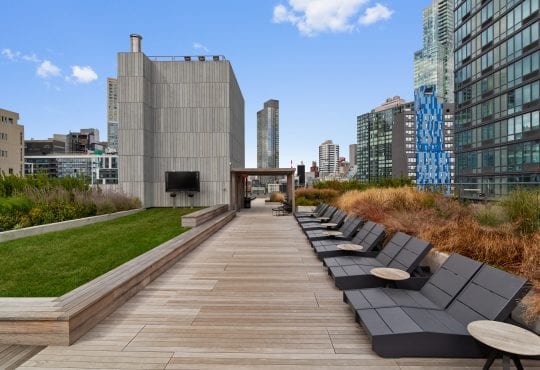 Amenities gallery - 6 of 7 - lounge chairs and green lawn at Eagle Lofts roof deck