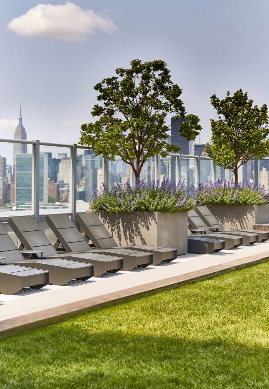 Amenities gallery - 1 of 8 - Linc rooftop with greenery and lounge chairs